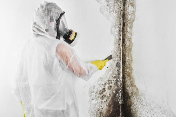 Best Mold Remediation for Specific Building Types in Redstone Arsen, AL