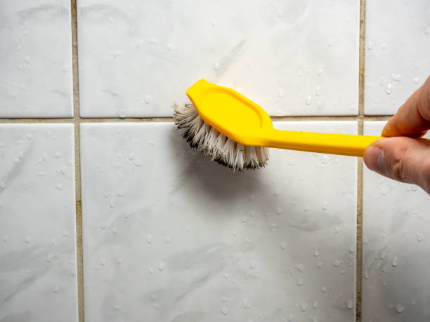 Best Residential Mold Remediation in Redstone Arsen, AL