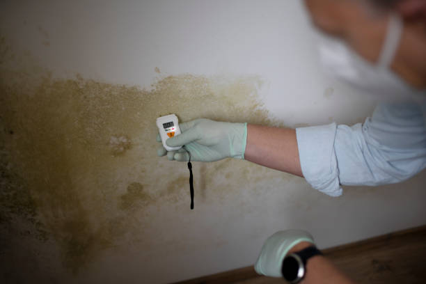 Best HVAC Mold Remediation in Redstone Arsen, AL