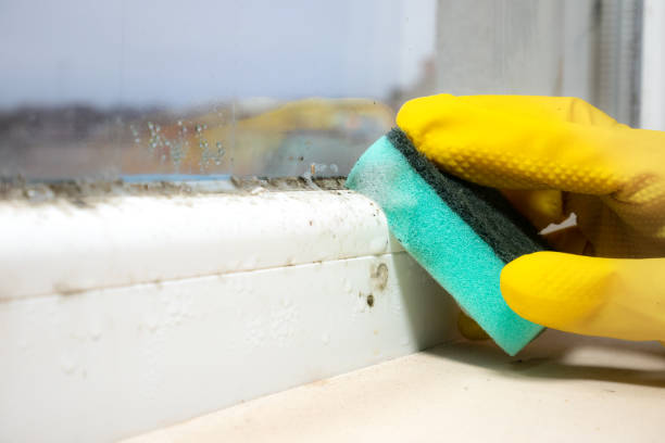 Best Industrial Mold Remediation in Redstone Arsen, AL