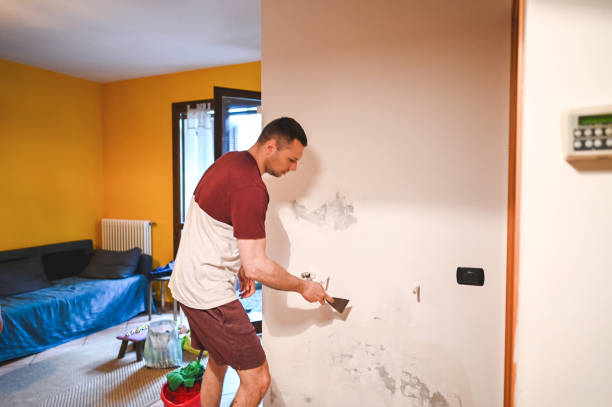 Best Localized Mold Remediation (e.g., coastal areas, humid climates) in Redstone Arsen, AL